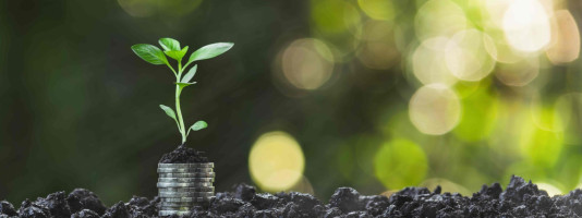 Regenerative Economy